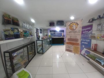 place photo 12