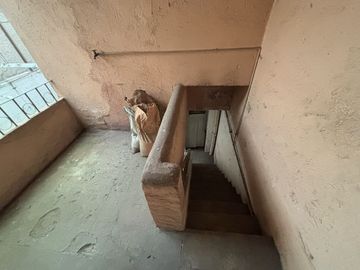 place photo 40