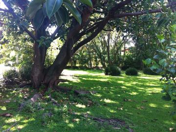 place photo 47