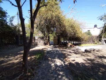 place photo 39