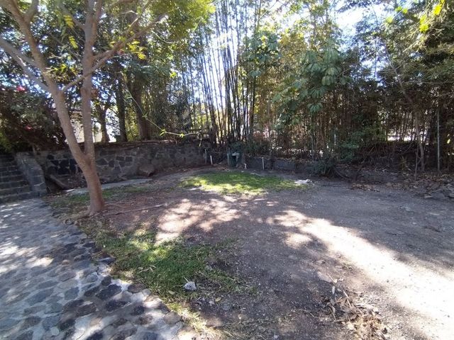 place photo 36