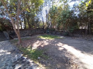 place photo 36