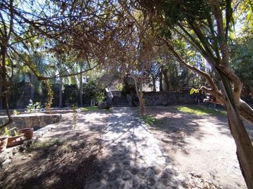 place photo 37