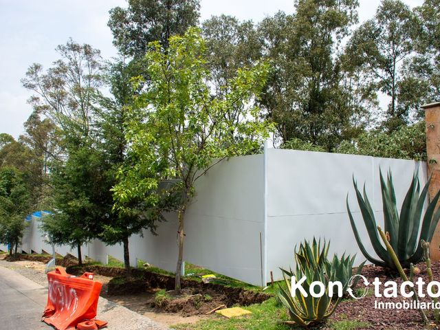 place photo 40