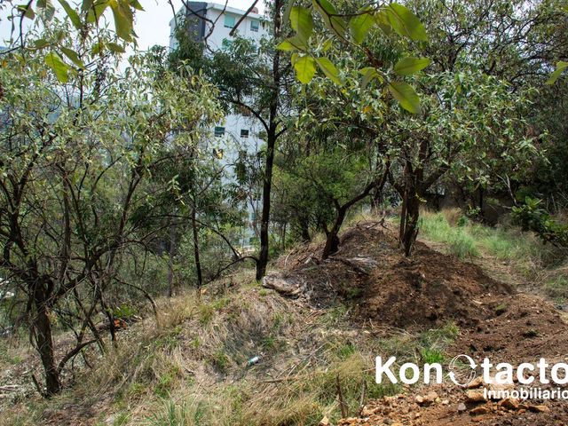 place photo 46