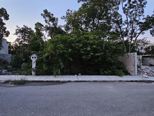 place photo 5