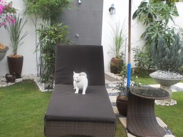 place photo 39