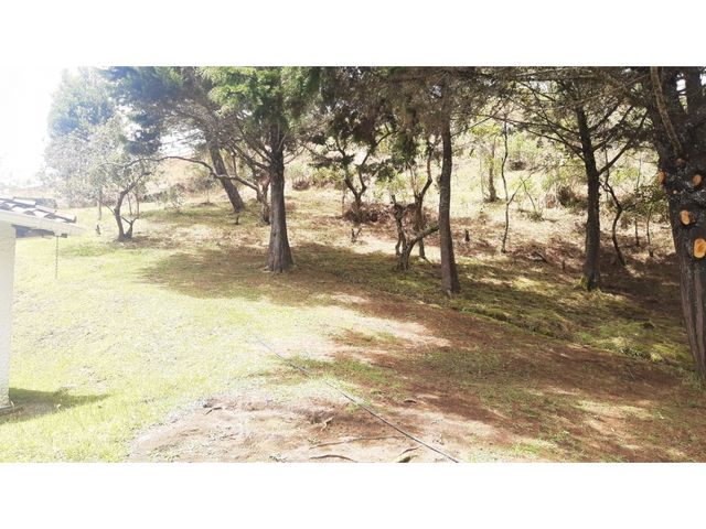 place photo 47