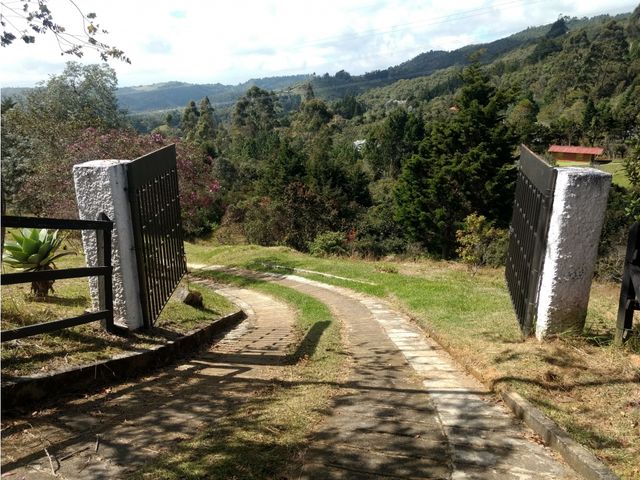 place photo 46