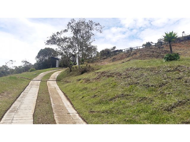 place photo 57