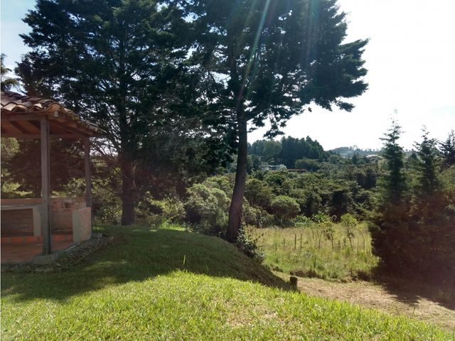 place photo 48