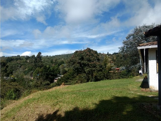 place photo 54