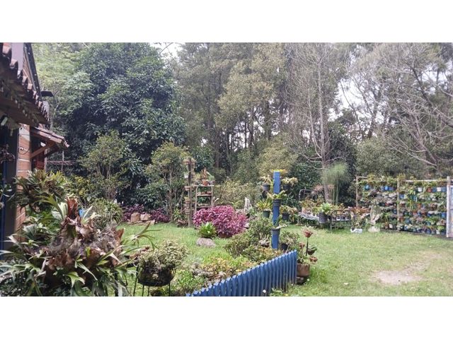 place photo 36