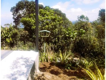 place photo 43