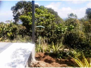 place photo 57