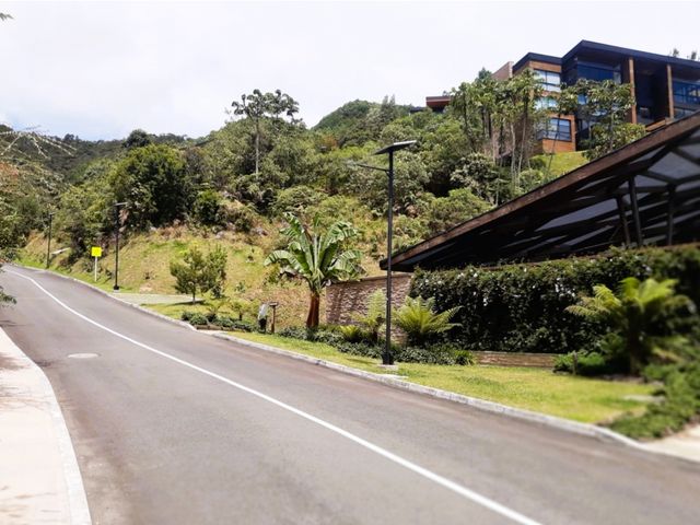 place photo 44
