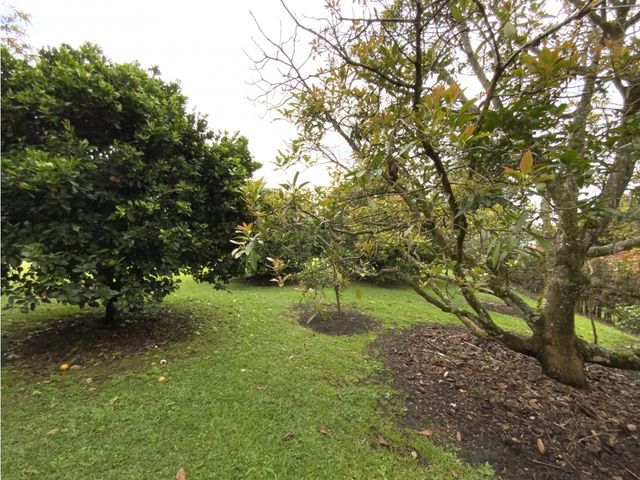 place photo 64