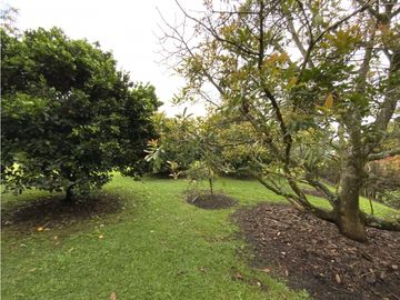 place photo 64