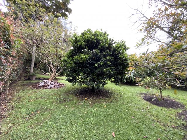 place photo 66