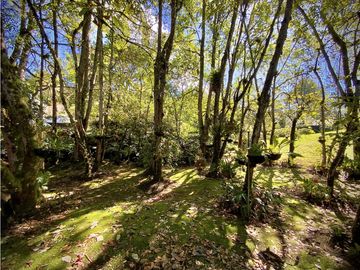 place photo 47