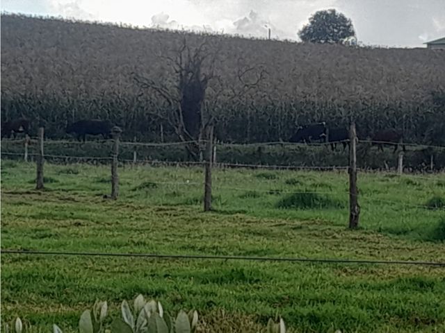 place photo 35