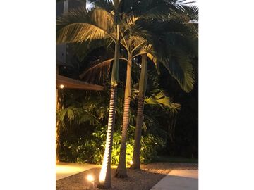 place photo 24