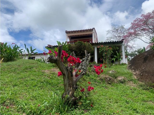 place photo 48