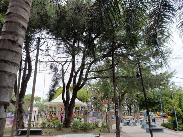 place photo 13