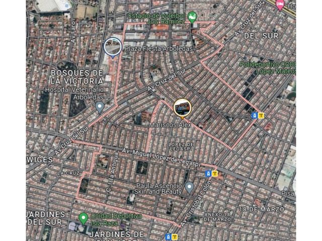 place photo 17