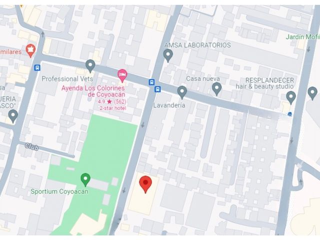 place photo 19