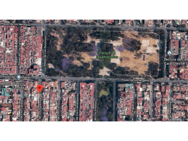 place photo 8