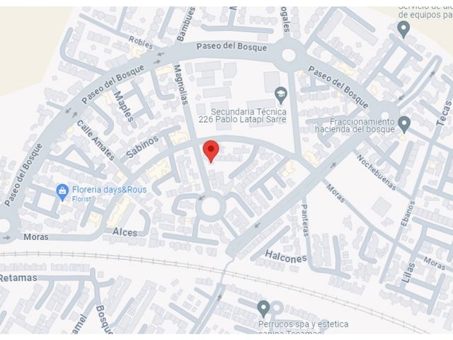 place photo 17