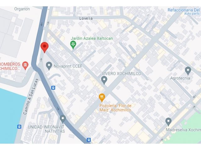 place photo 15