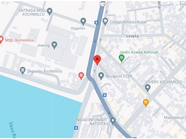 place photo 19