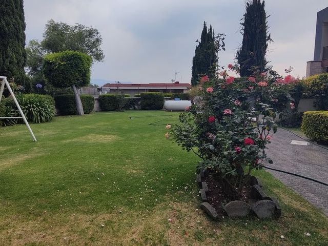 place photo 46