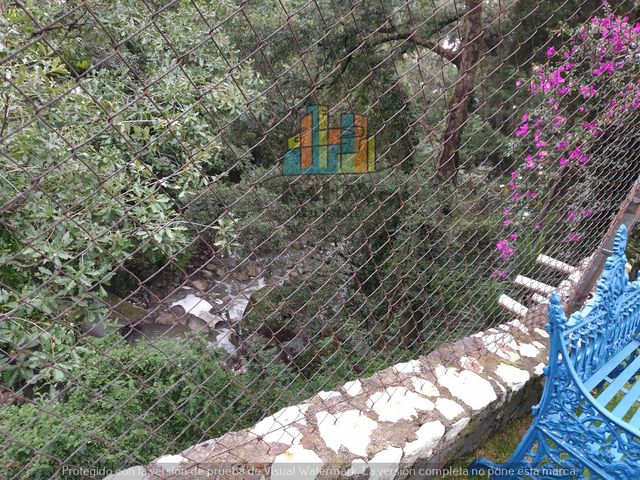 place photo 53