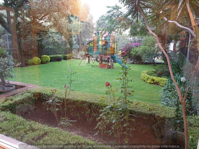 place photo 42