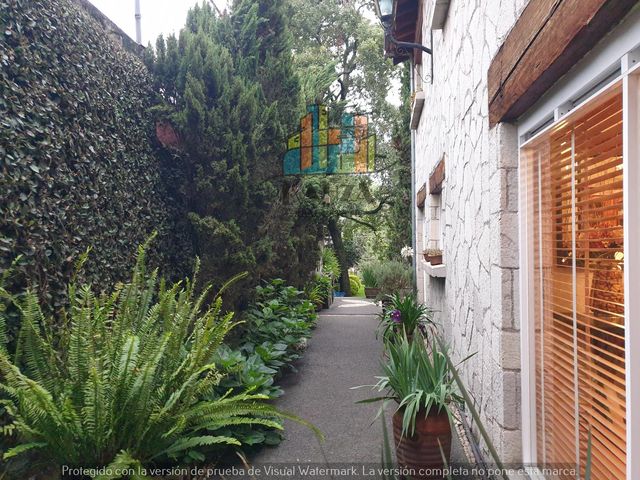 place photo 54