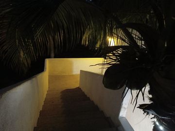 place photo 44
