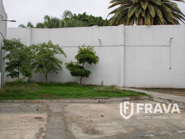 place photo 36