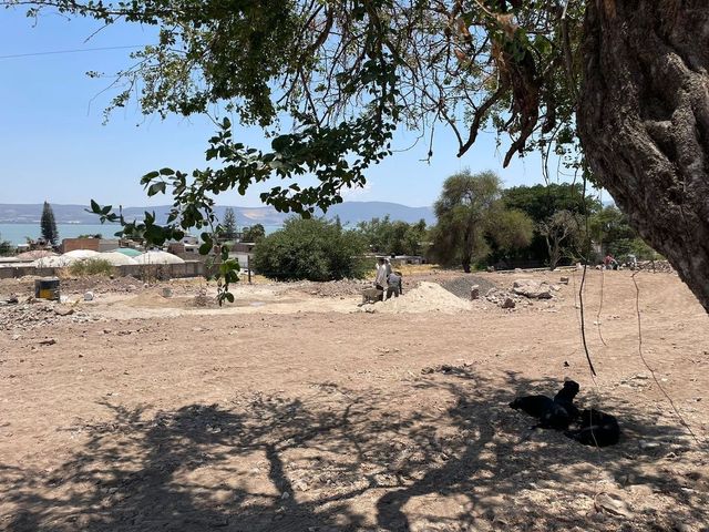 place photo 18