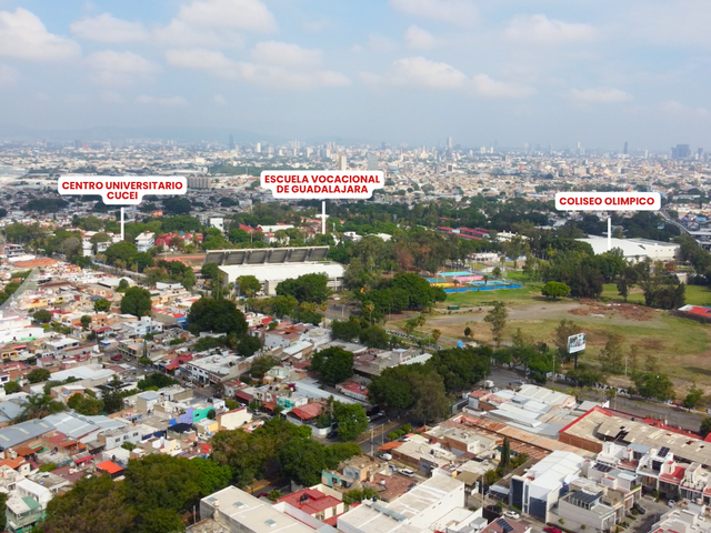 place photo 38
