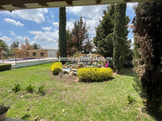 place photo 48
