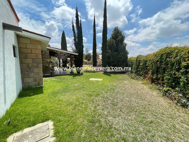 place photo 47