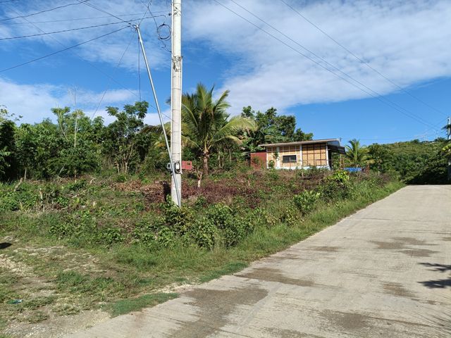 place photo 10