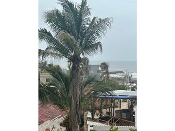 place photo 34