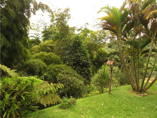 place photo 44