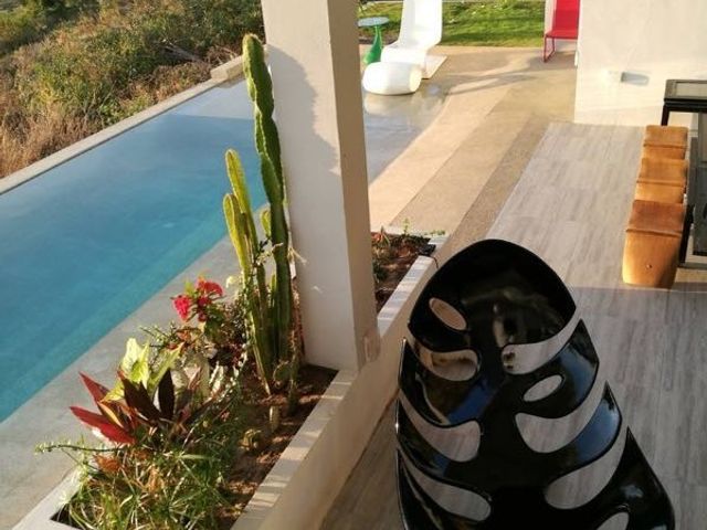 place photo 52