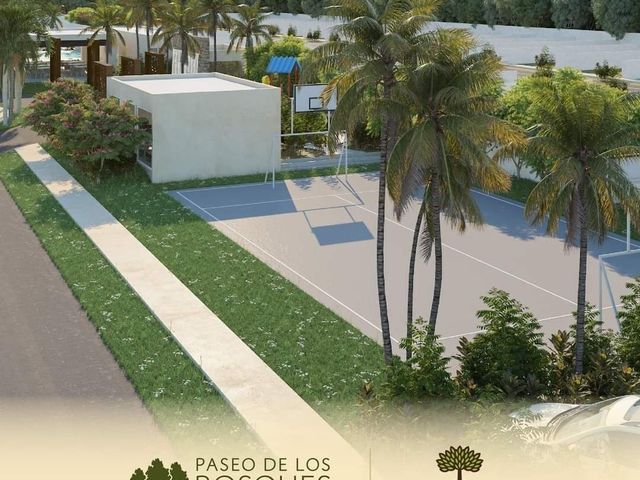 place photo 8