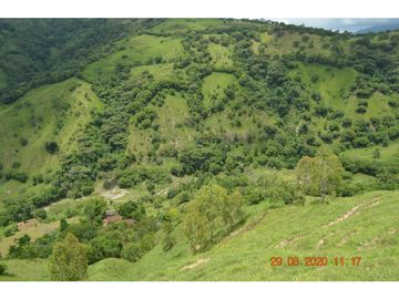 place photo 35